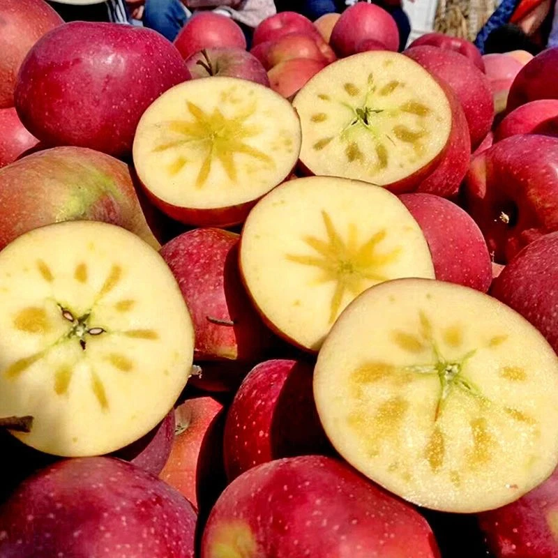 大凉山冰糖心丑苹果新鲜脆甜当季水果