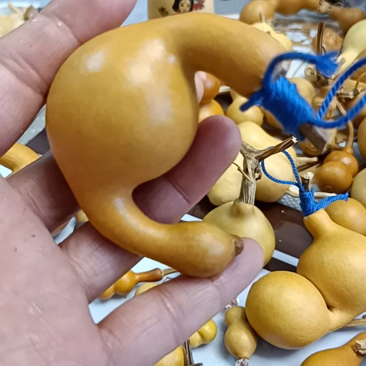 水葫芦葫芦葫芦葫芦葫芦