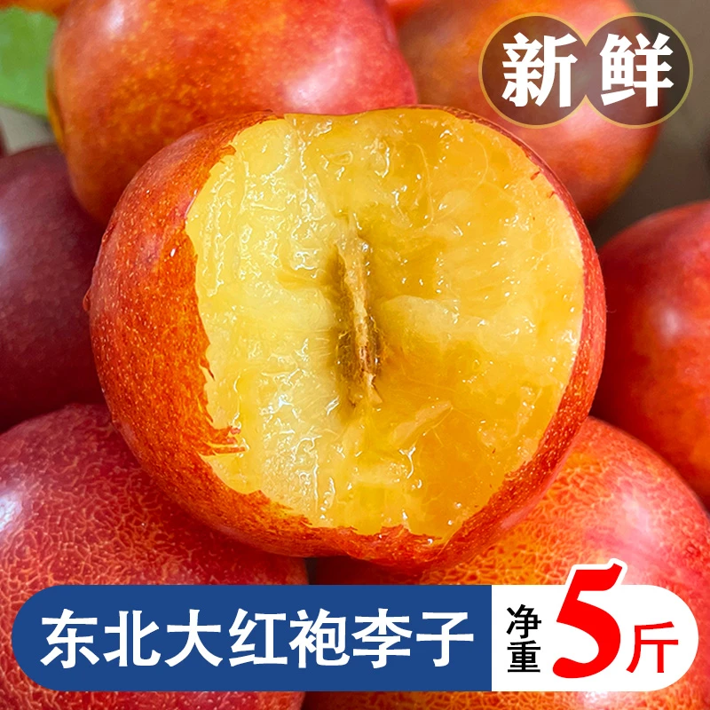 正宗东北大红袍李子新鲜水果酸甜皮酸肉甜当季孕妇水果5斤包邮