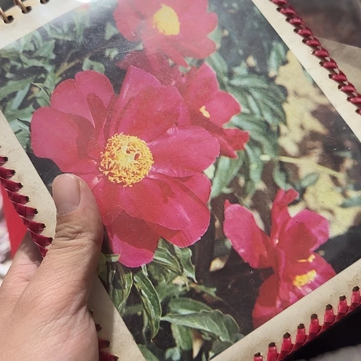 橄榄核其他肆**?Fhfgfgfgfgfgfgf