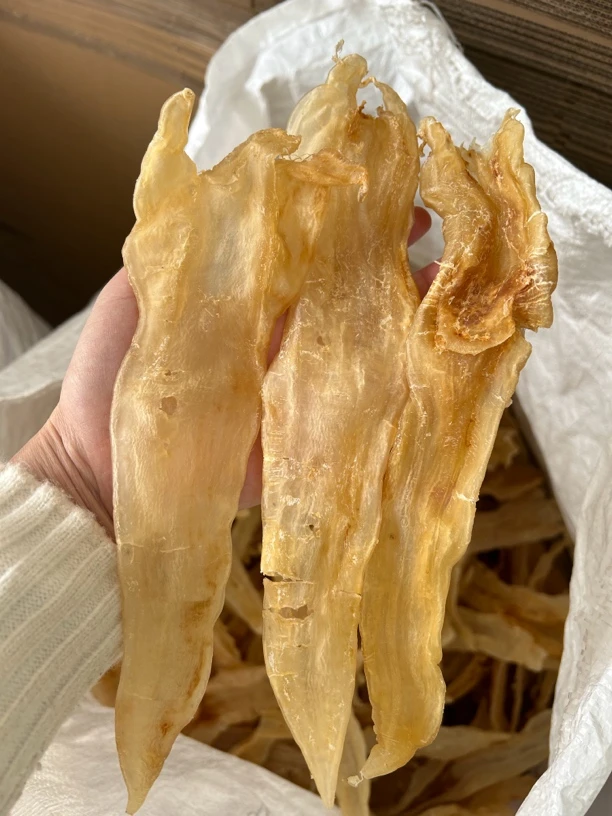 12-13头野生北海阴阳胶，捡漏价500g