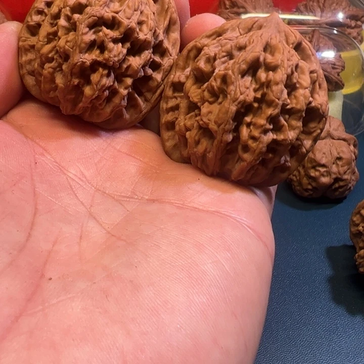 *****核桃麦穗虎头43尺寸