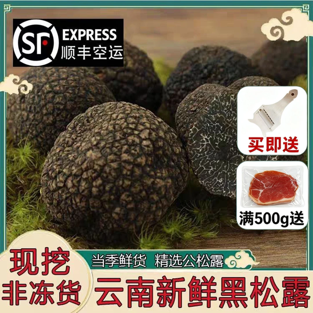 【2025季】云南特产野生黑松露菌菇煲汤养生食材顺丰空运