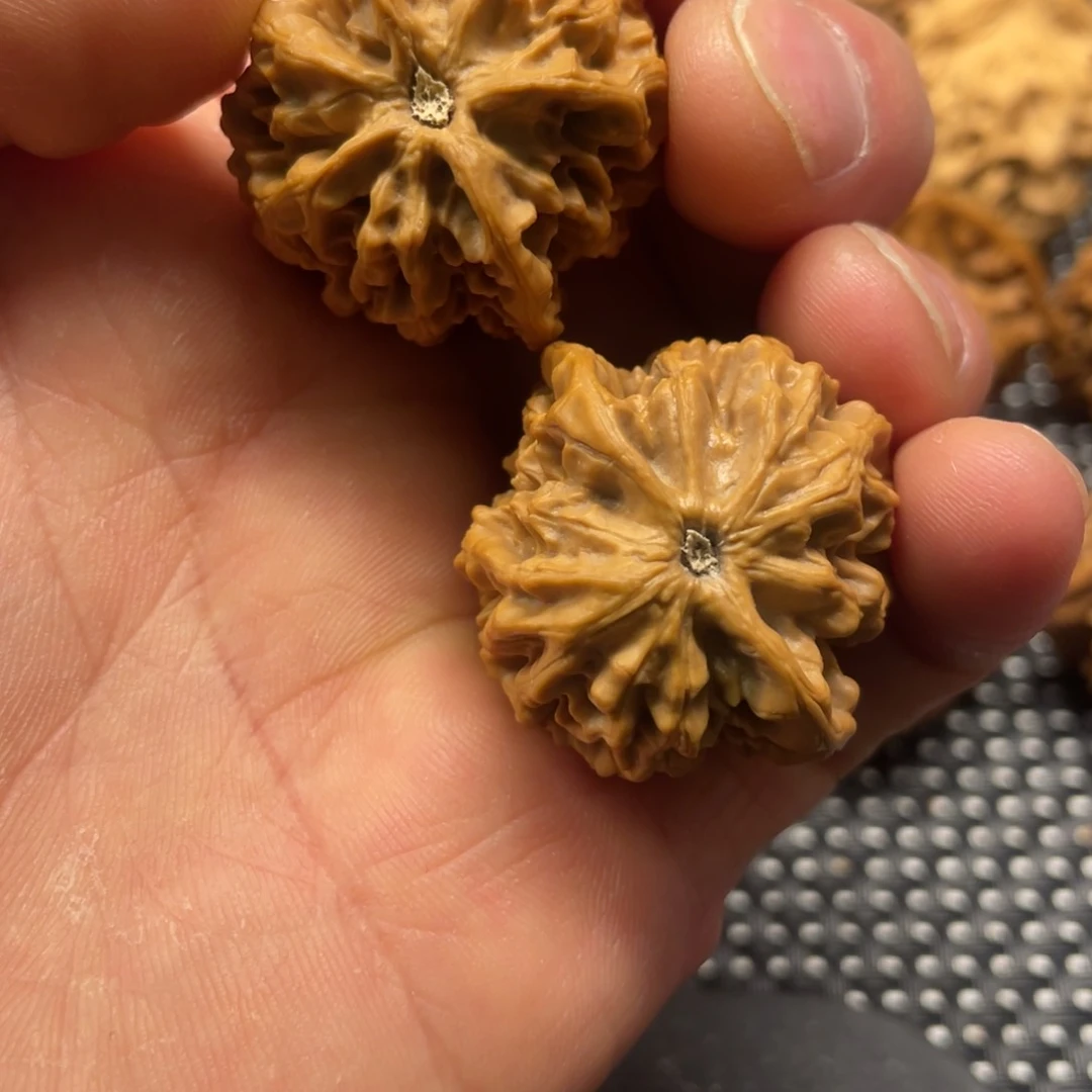 秦岭小王文玩核桃