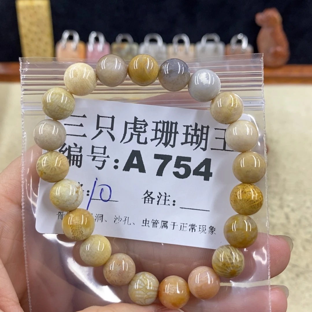 硅化珊瑚（珊瑚玉）1未镶嵌宁*