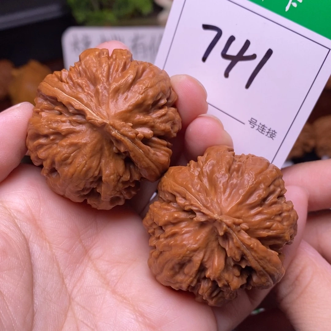 把件文玩核桃741霸王龙4.2
