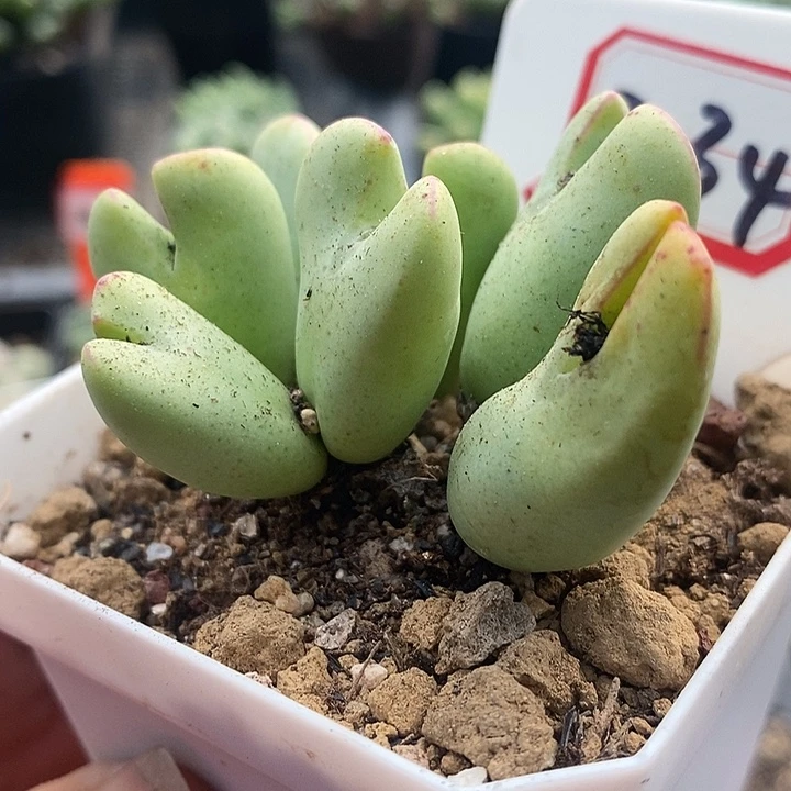 在线阅读是为了提高3034