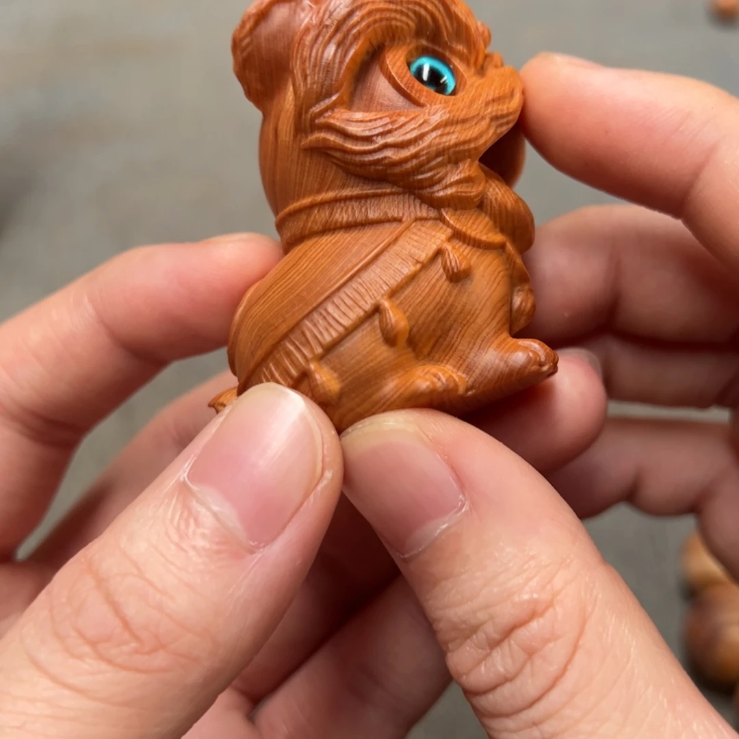 熊***看柏木（崖柏）北太行陈化崖柏