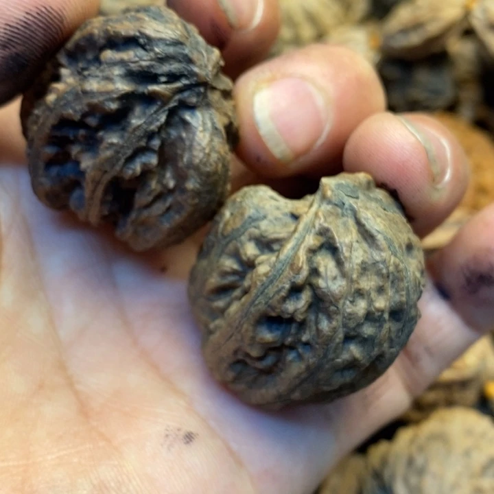 文玩核桃吊坠娜姐205