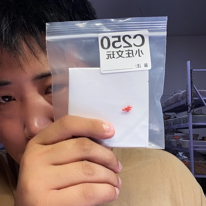 【闪购商品】张****法黑檀木250