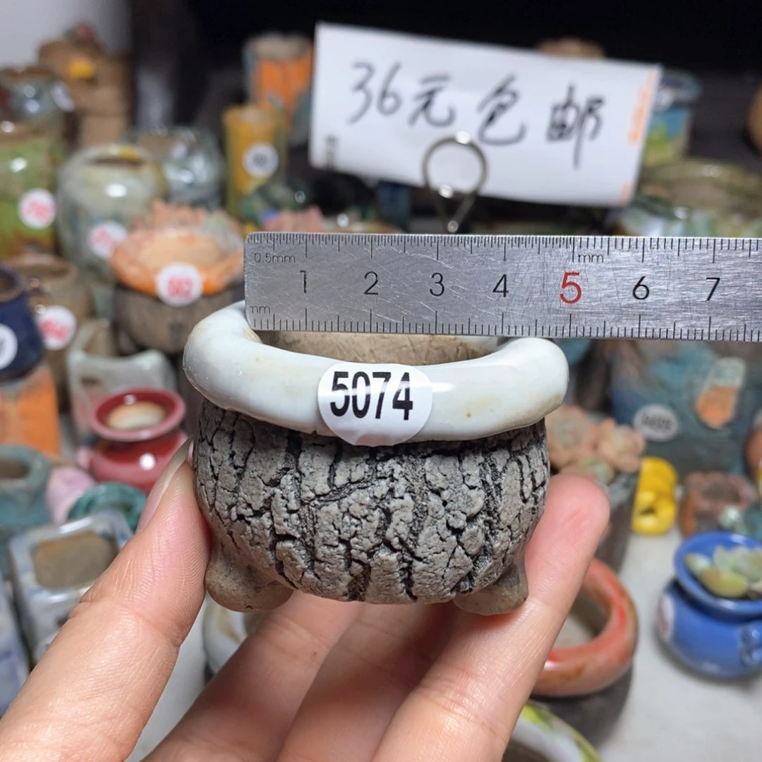 拍3送一个小礼物
