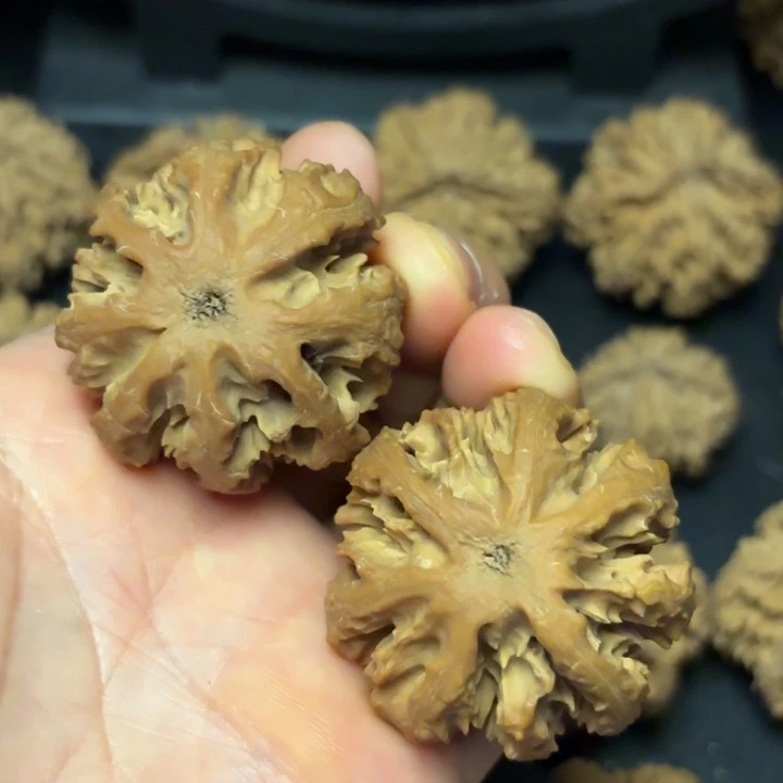 文玩核桃把件秦岭灯笼9