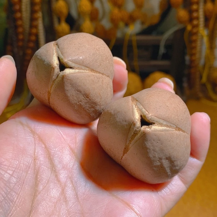 野生蟠桃三花大橄榄