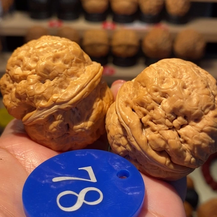 上古卧龙蟾43尺寸