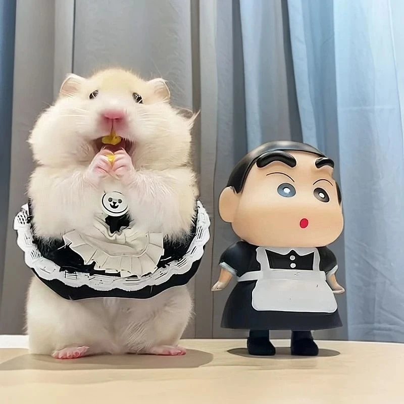 C仓鼠衣服四季通用服装裙子小宠毛线衣金丝熊荷兰猪花枝鼠服饰秋