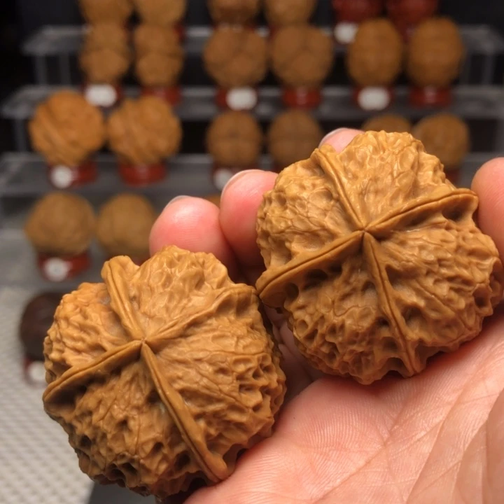 把件文玩核桃65碧玉蛟龙