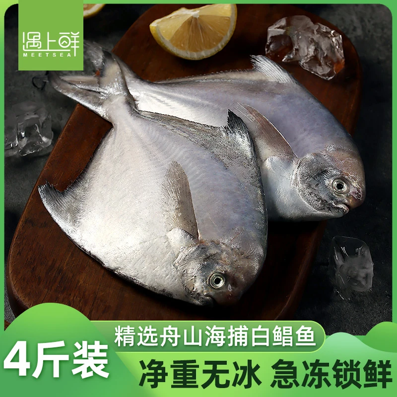遇上鲜舟山海捕白鲳鱼 鲜活速冻 深海渔场 清蒸肉质美味 4条/1斤