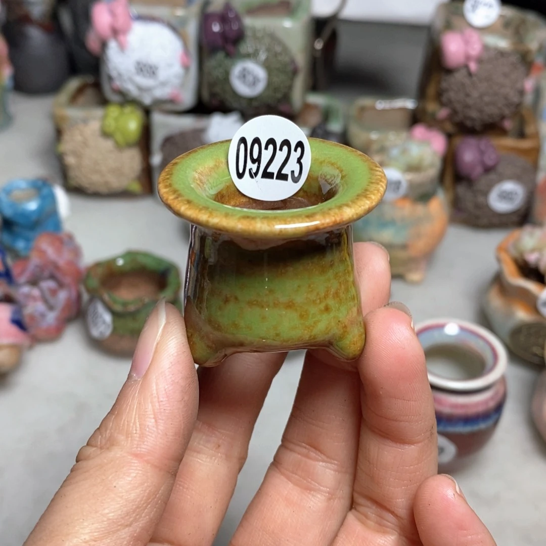 快**图拍5送一个小礼物