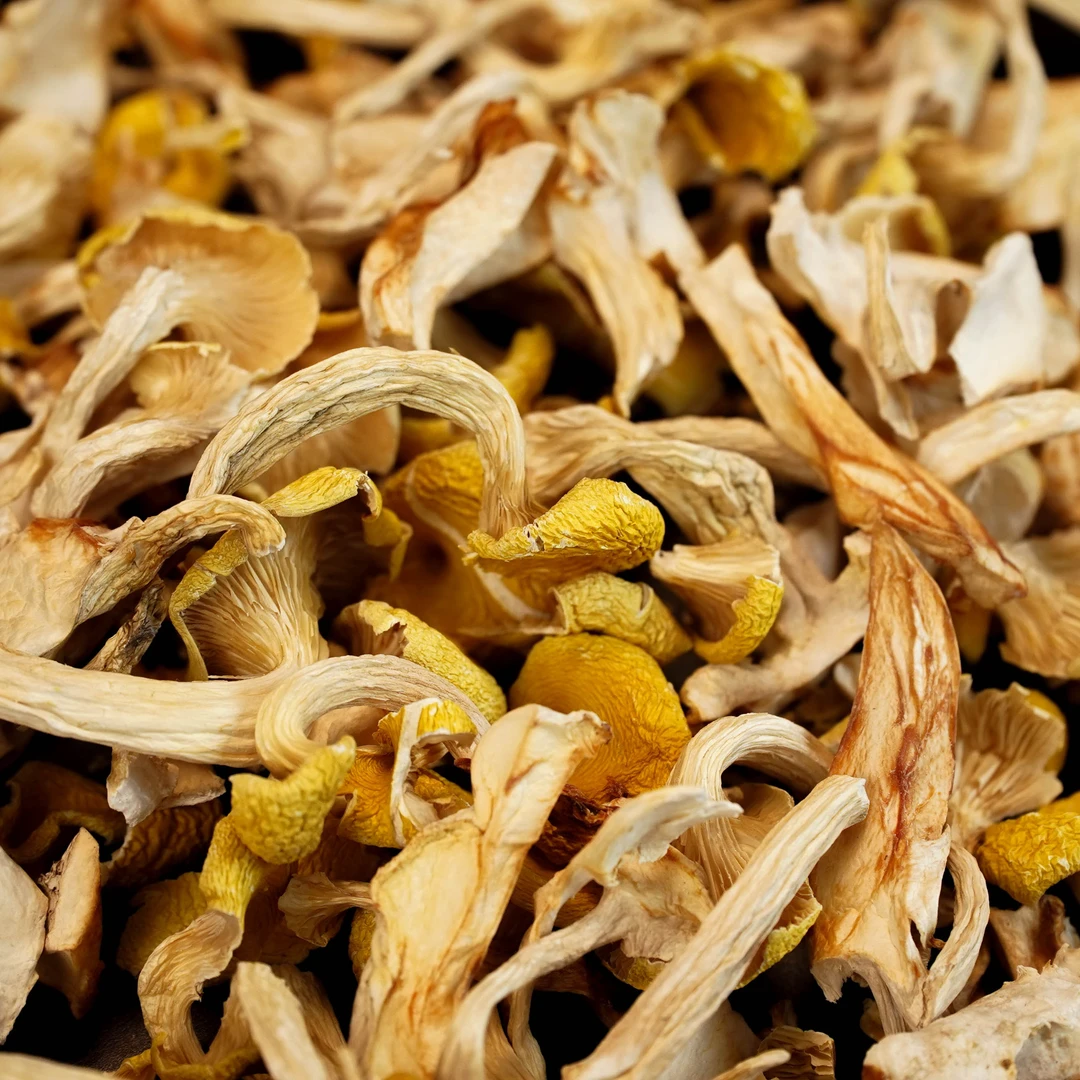 【妍妍精选】西藏墨脱鸡油菌