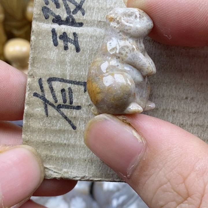 颈饰未镶嵌硅化珊瑚（珊瑚玉）归*