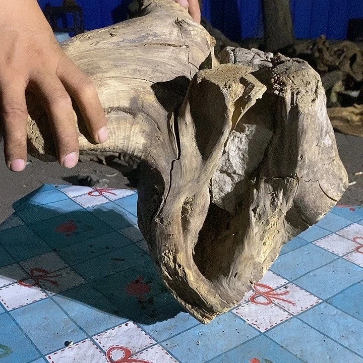 柏木感谢支持我们