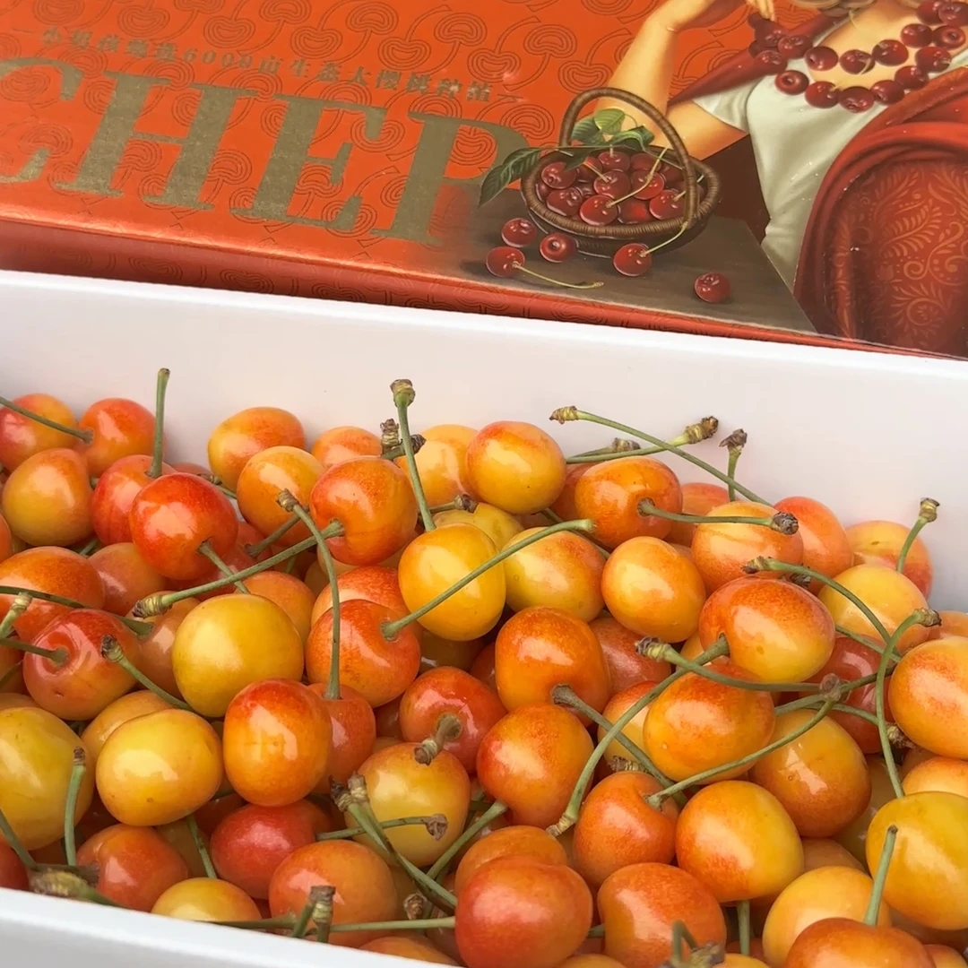 新鲜超甜黄蜜一箱2斤装大连车厘子2J雷尼尔