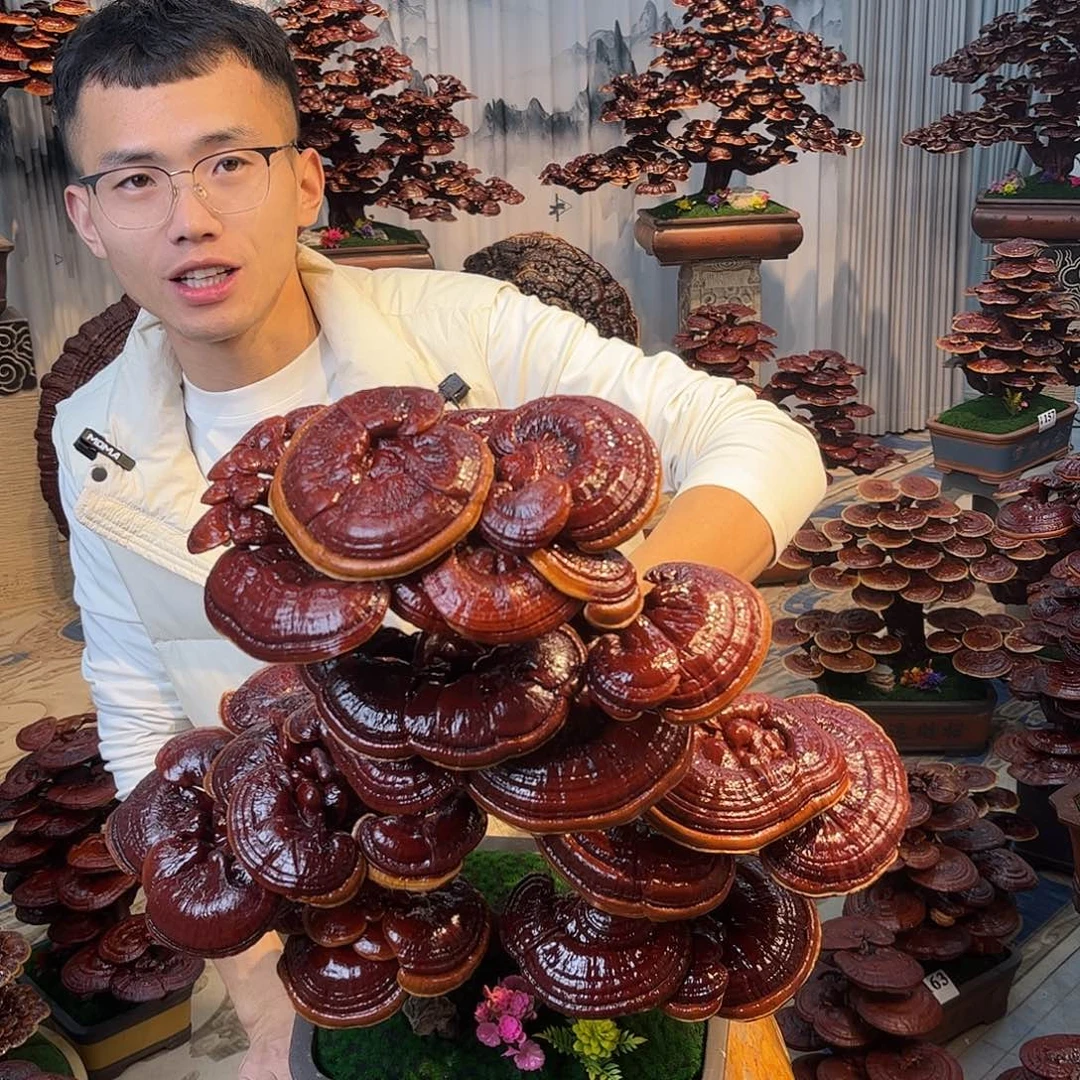 无花朵88888888888