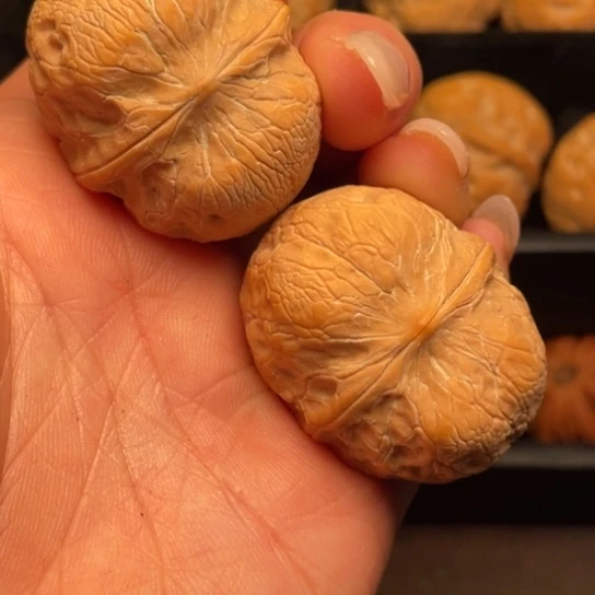 文玩核桃吊坠秦岭野生核桃
