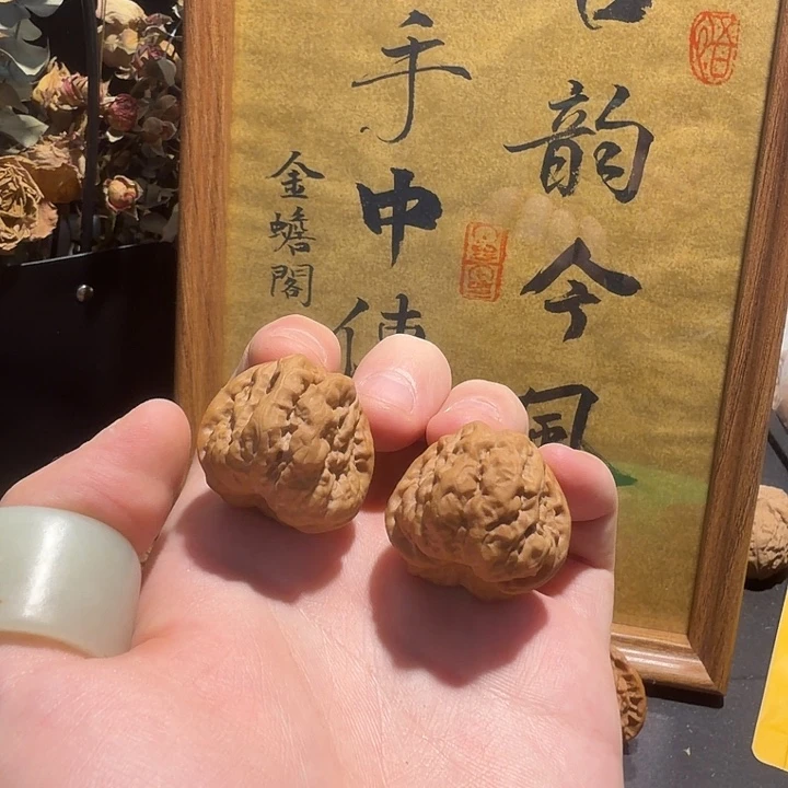 温***两全品mini小蛙小毕业对30尺