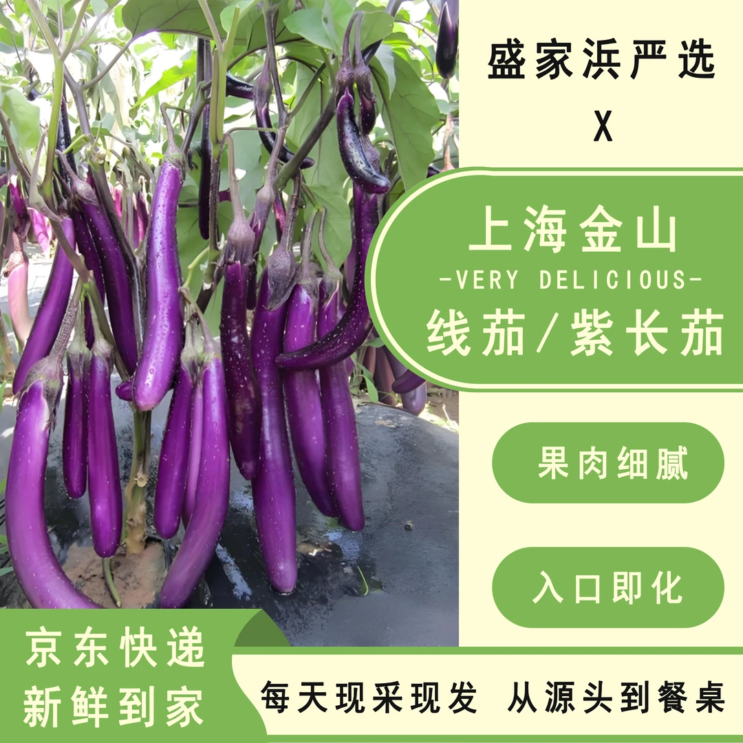 [盛家浜严选]上海金山本地线茄紫长茄子 现采现发 京东快递