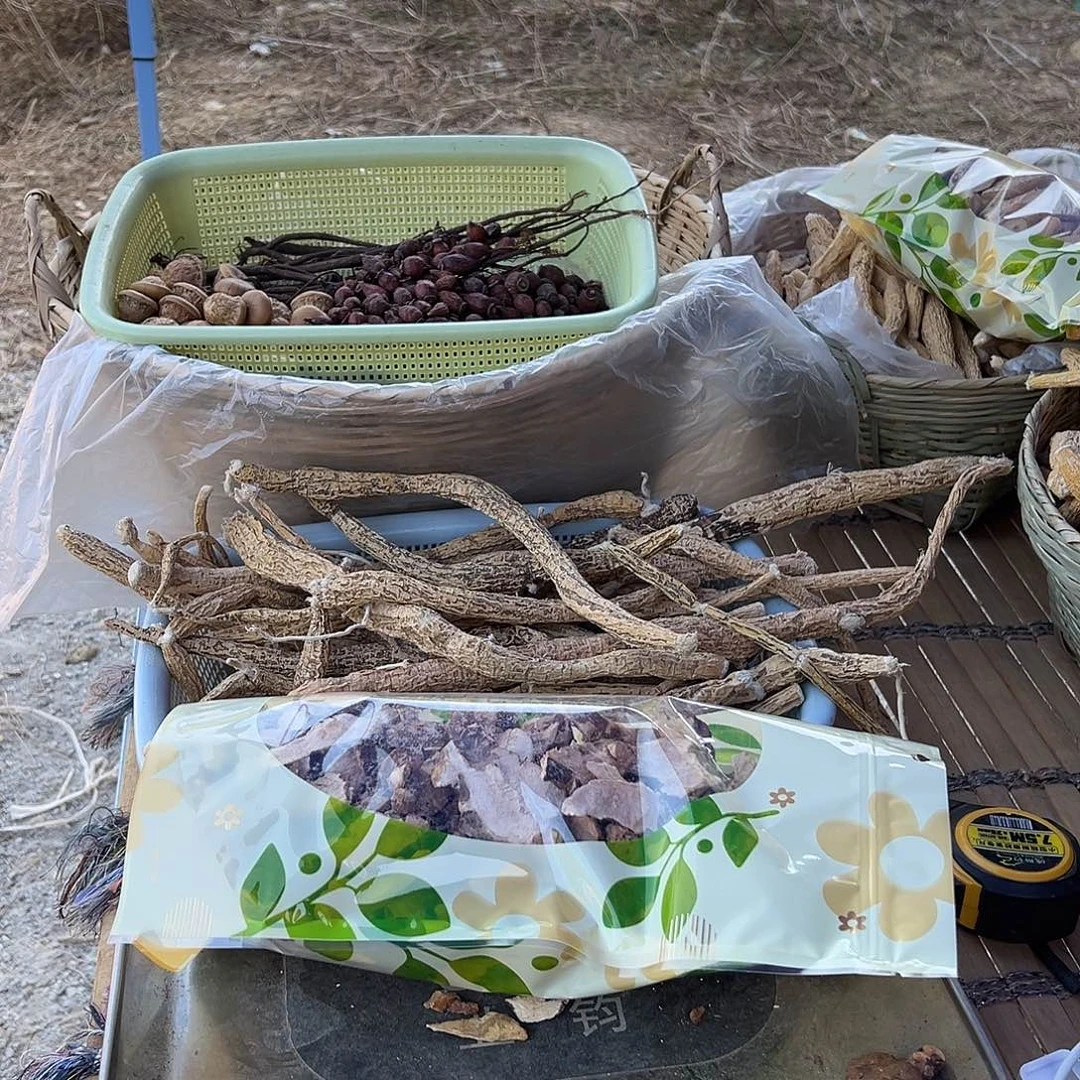 中国大陆泡酒五宝