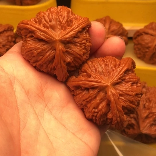 润***鹏核桃核桃核桃核桃核桃