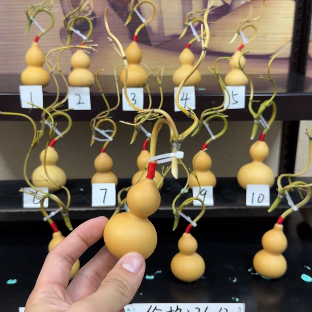 肚***哥啊啊啊啊啊啊啊啊啊