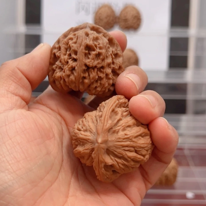 齐***宾涿鹿南不文文玩核桃