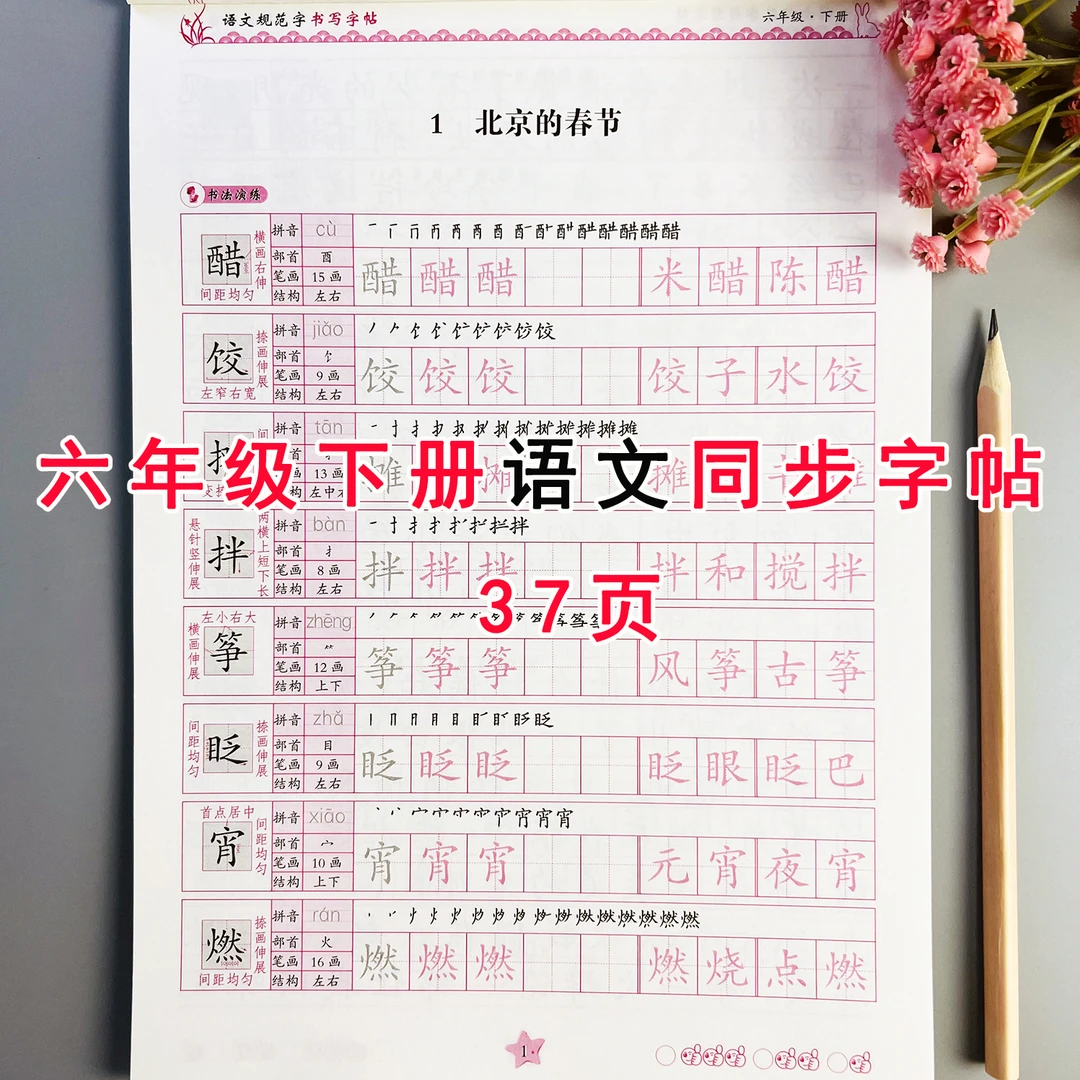 六年级下册语文同步练字帖人教版语文课本同步字帖生字描红临摹本