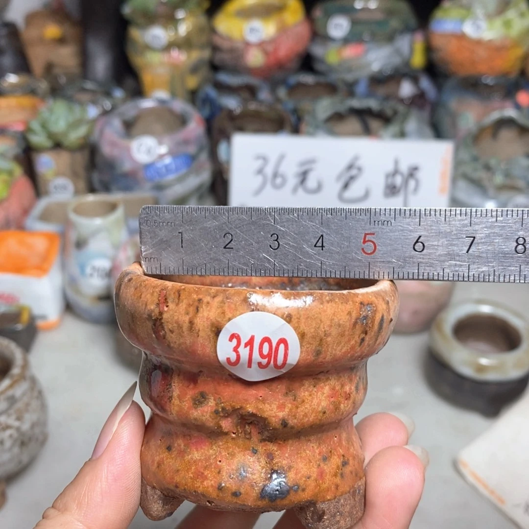 拍3送一个9.9拍5送同款