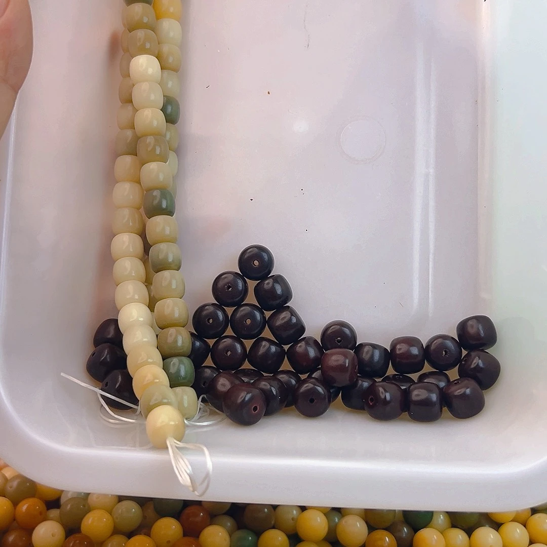 把件菩提根/象牙果