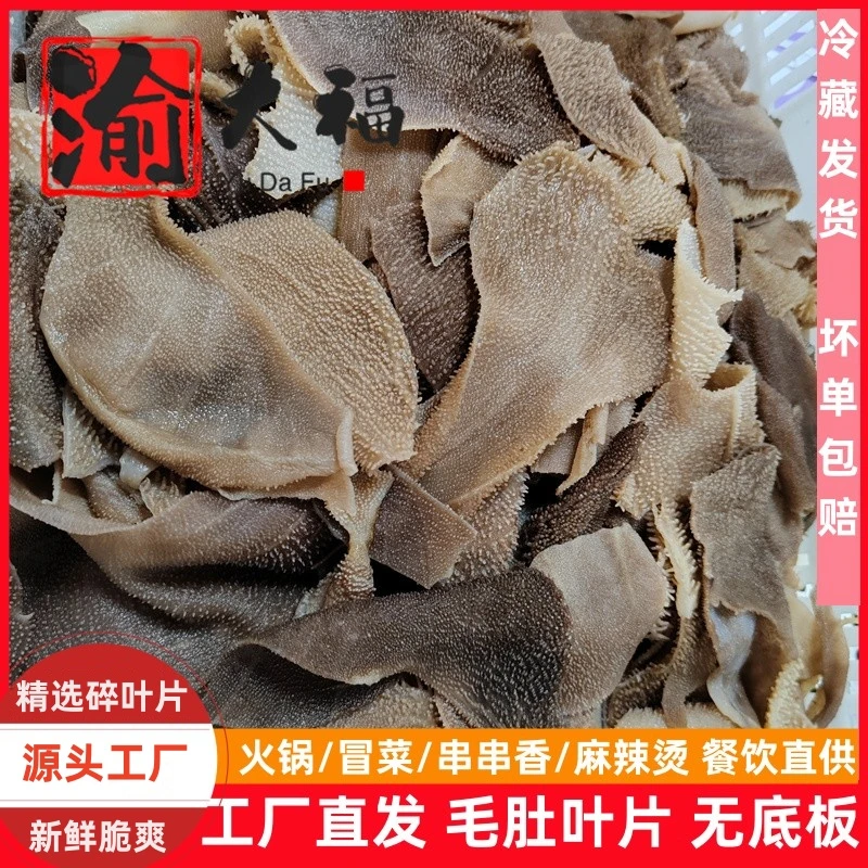 【毛肚叶片】净重3斤装新鲜毛肚无底板牛百叶川渝商用火锅食材