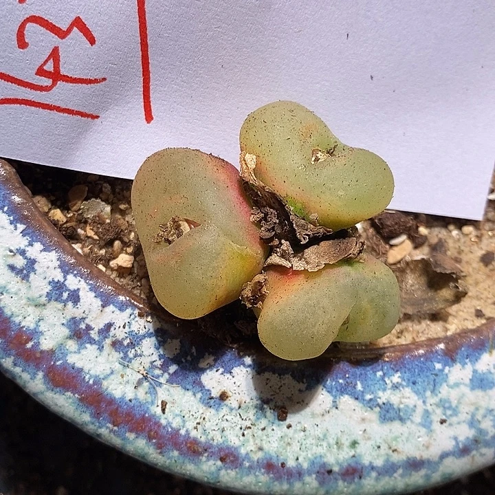 14372。   一组。 一组。