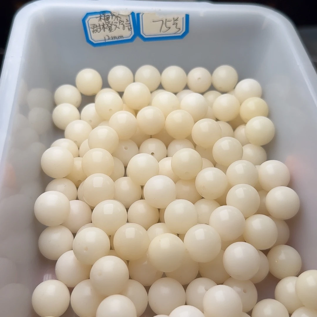 吊坠菩提根/象牙果50颗白圆15