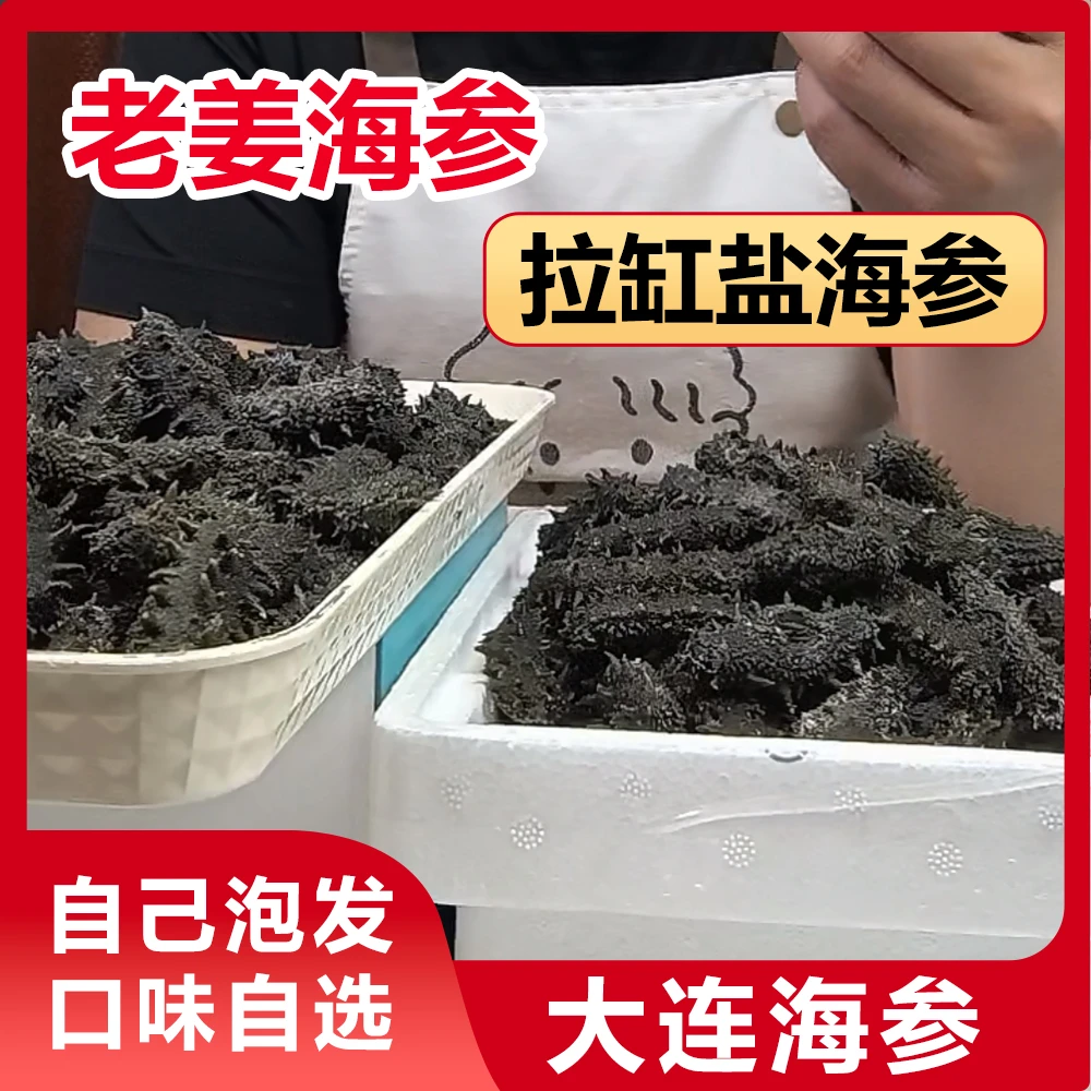 大连海参辽刺参拉缸盐顶火半干非即食半湿围堰参滋补非水发零添加