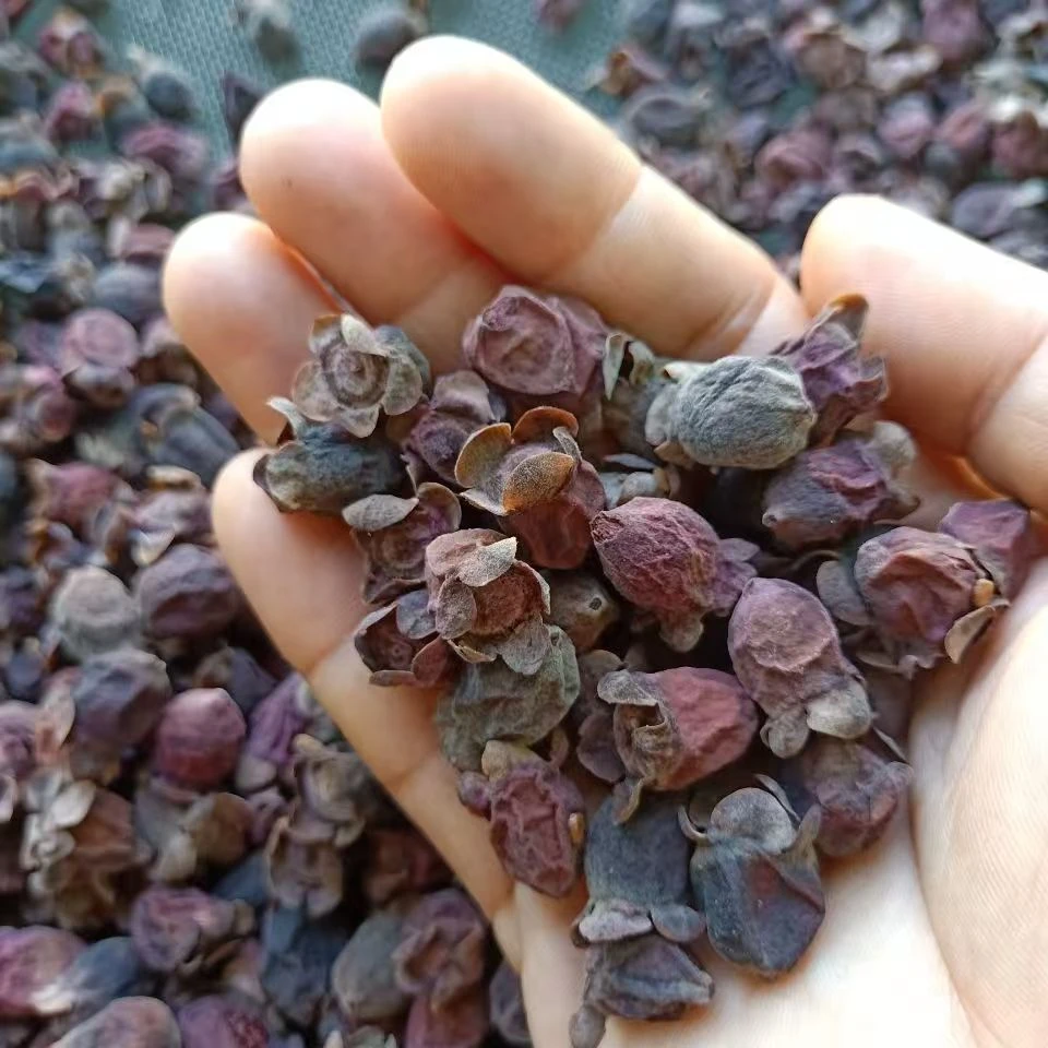 广西山捻子桃金娘稔干果三蒸三晒哆尼泡酒料岗捻子金樱子黄芪枸杞