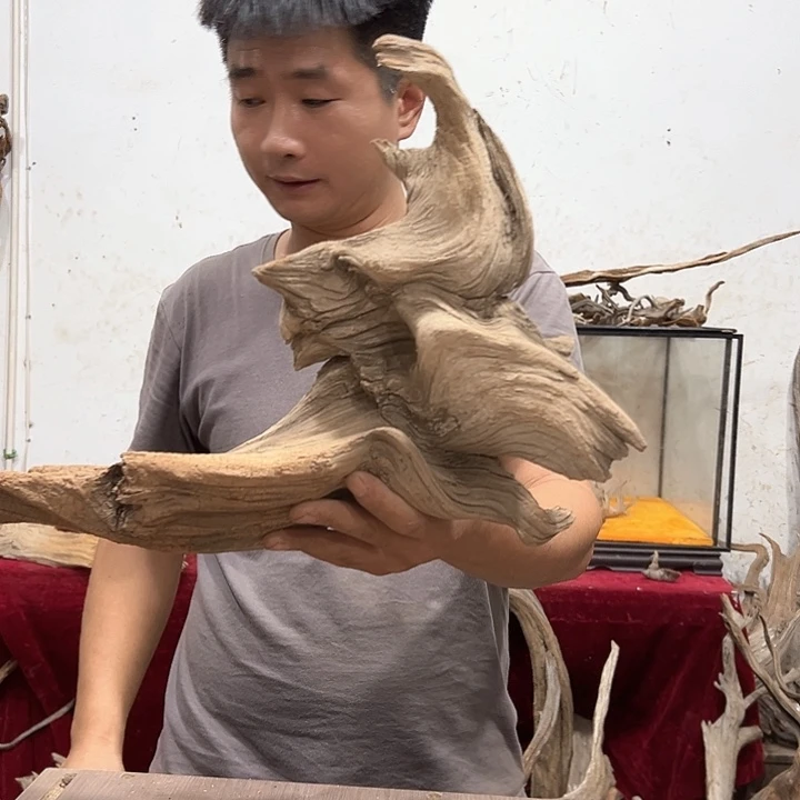 柏木崖***工我们都是好孩子呀我也是