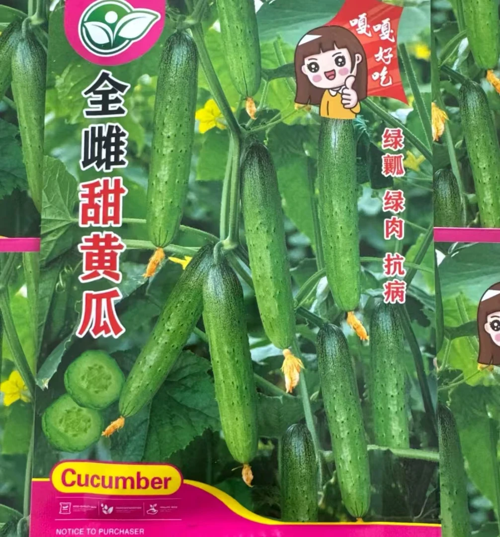 【全雌香黄瓜种子】四季种植盆栽地栽阳台小院种植
