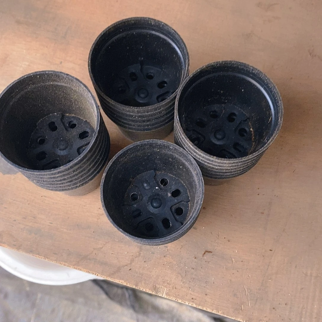 塑料旧5公分黑圆盆200个