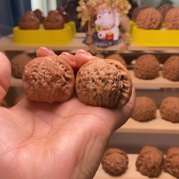 八****核桃41尺寸的血麒麟