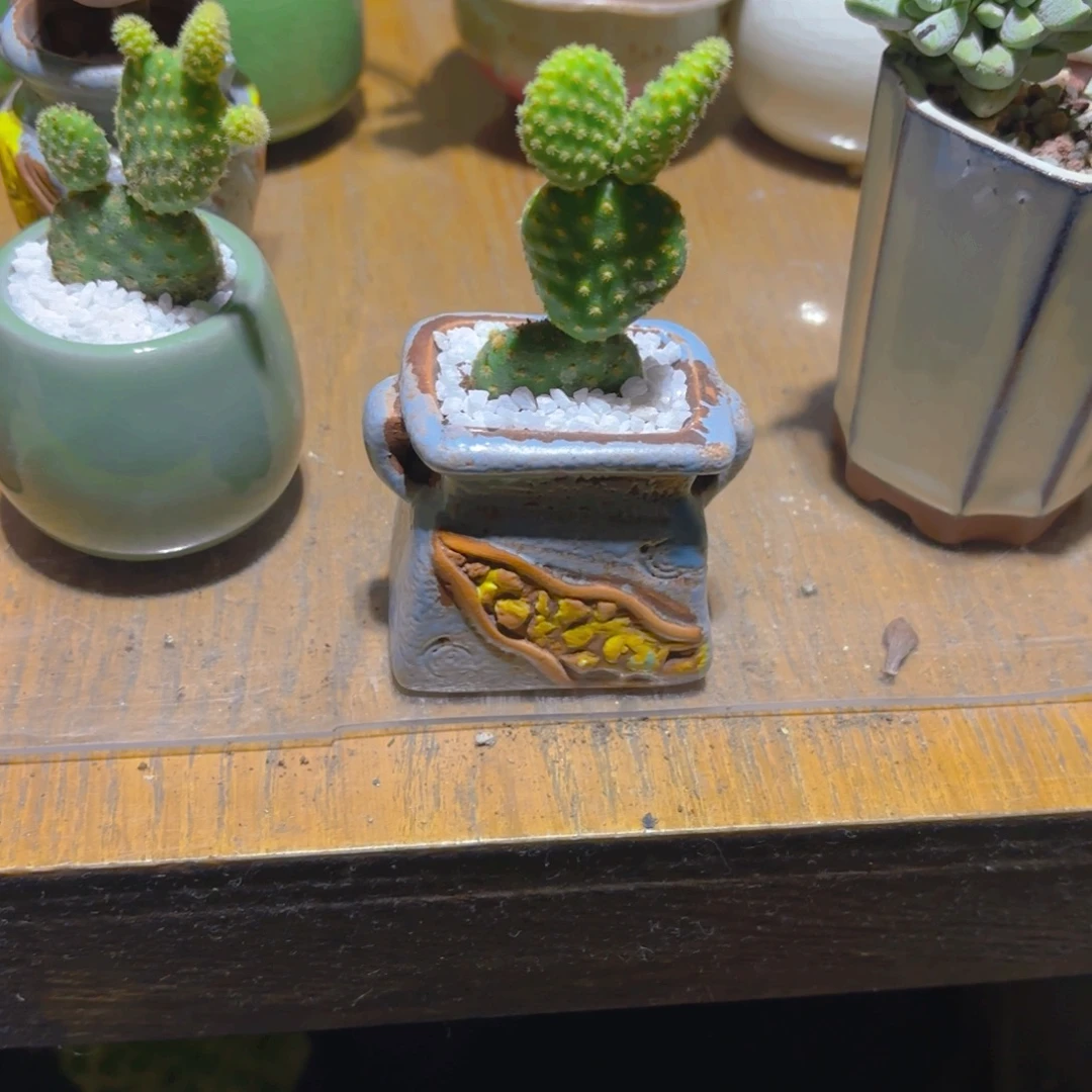 福利带盆下拨福利
