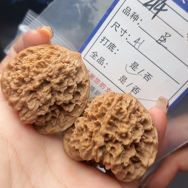 文玩核桃吊坠核桃树214