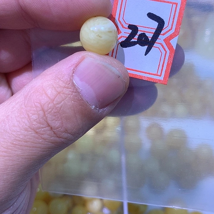 裸石琥珀未镶嵌11.5