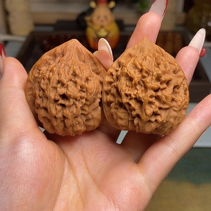 橄榄核手串/手链vvvvvvvbbbbbb